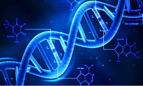 Pharmazeut ische gereinigte Wassersysteme in der Biotechnologie